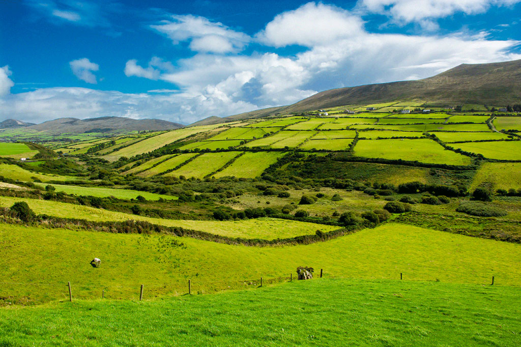 Open land