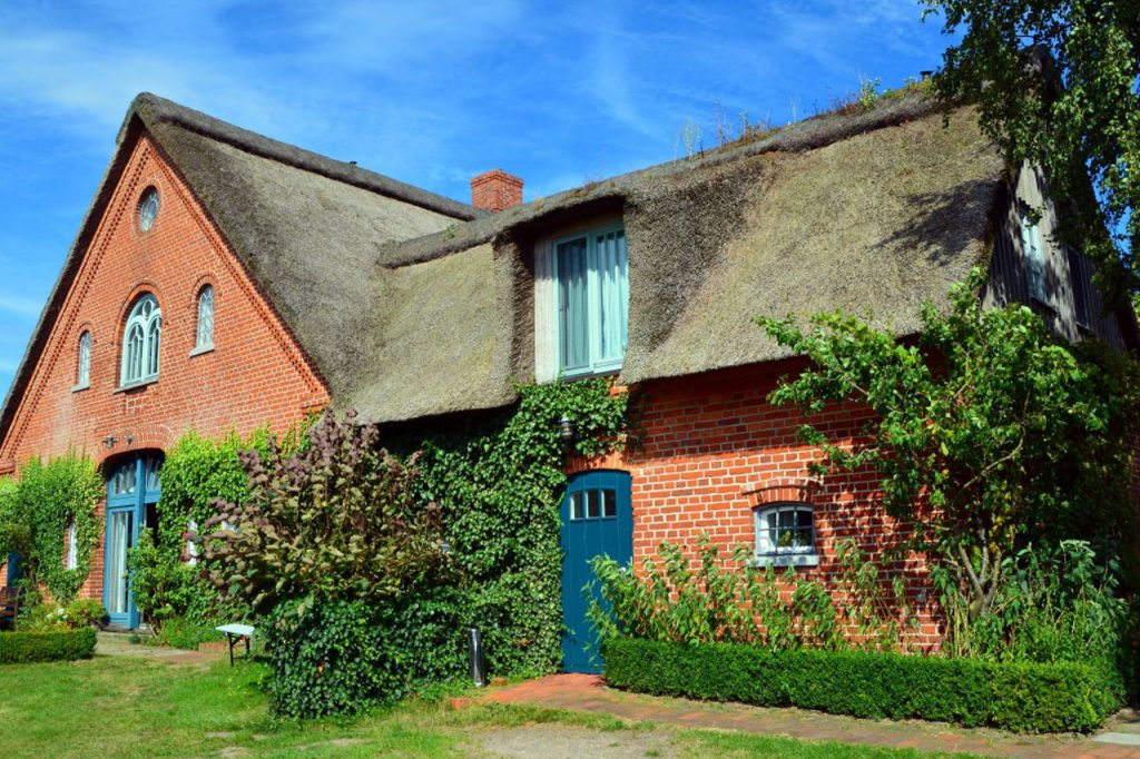 Thatched cottage